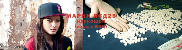 прущие грибы Зеленодольск