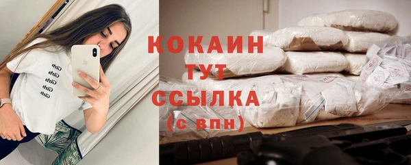 прущие грибы Зеленодольск