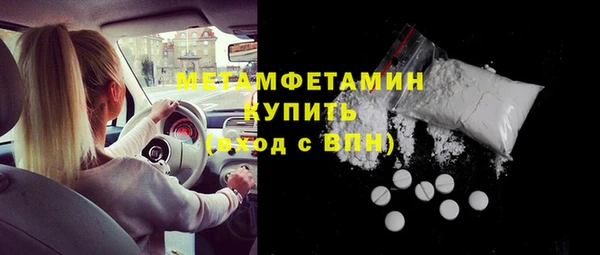 прущие грибы Зеленодольск