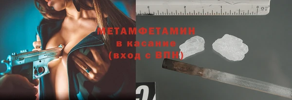 прущие грибы Зеленодольск