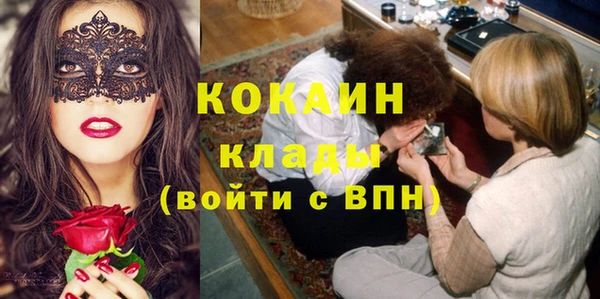 прущие грибы Зеленодольск