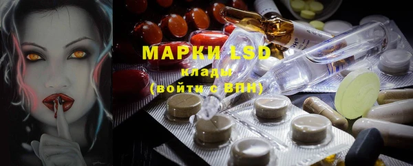прущие грибы Зеленодольск