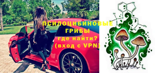 прущие грибы Зеленодольск